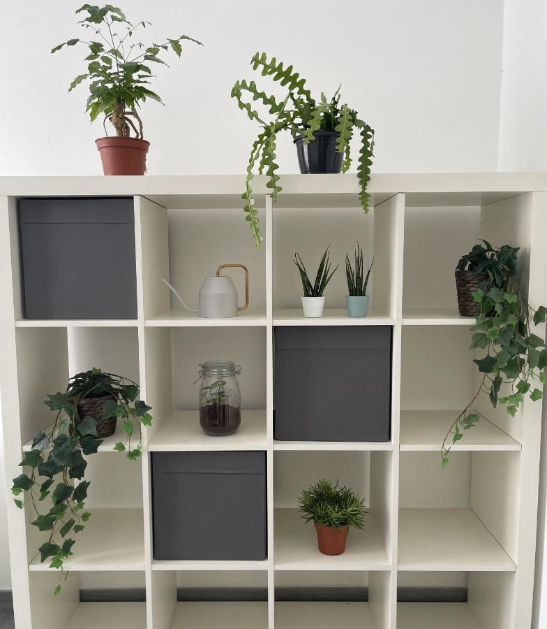 Ami House Roma 아파트 외부 사진